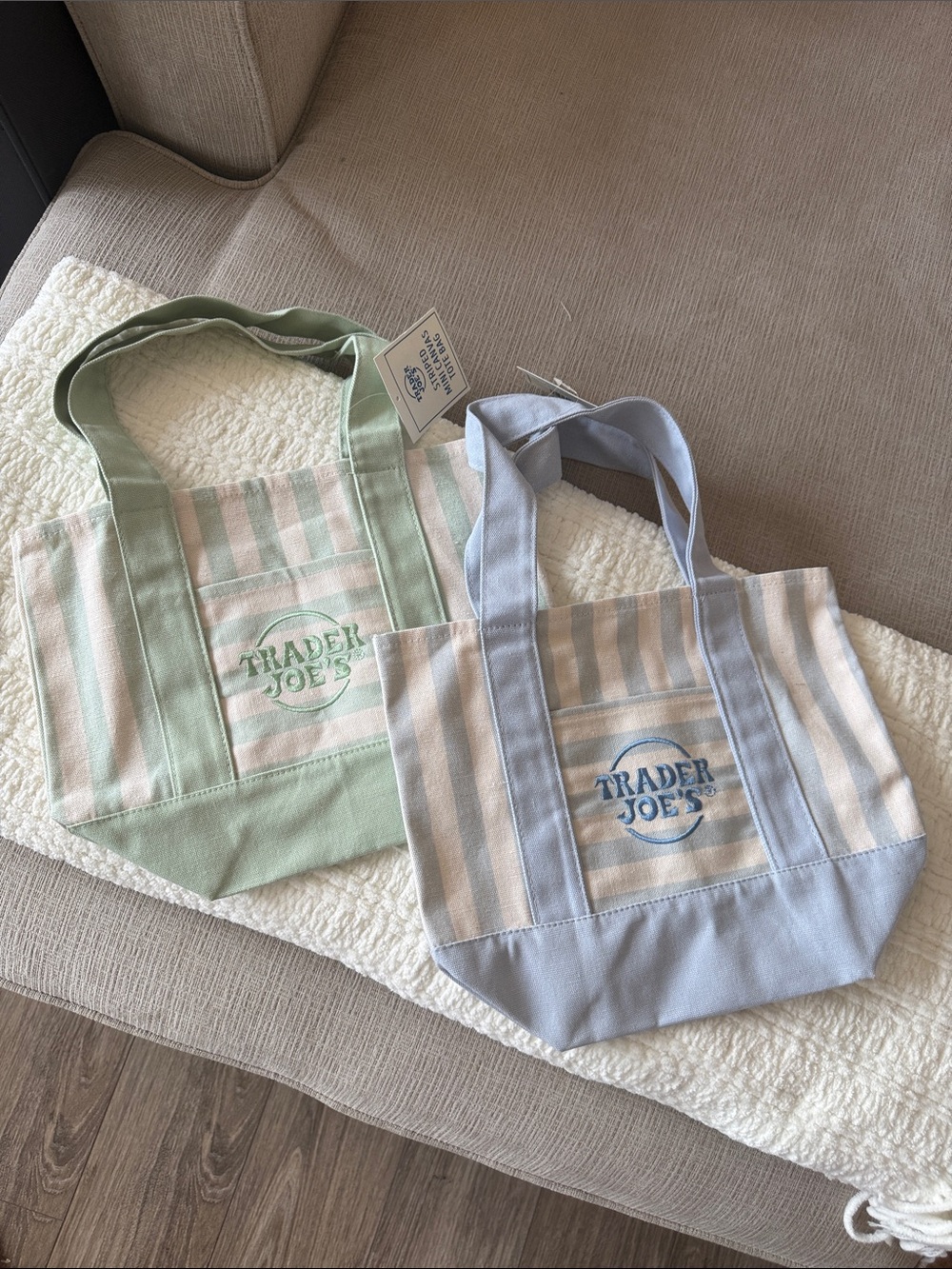Trader Joe's Striped Canvas Tote Bag - Pastel Blue & Pastel Green